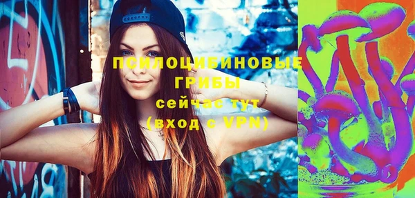 гидра Алексеевка