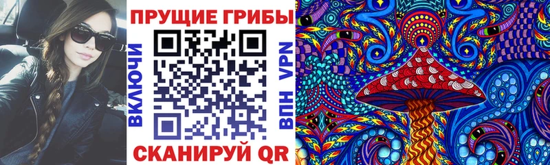 Галлюциногенные грибы Psilocybine cubensis  купить наркотики цена  гидра ссылки  Луза 